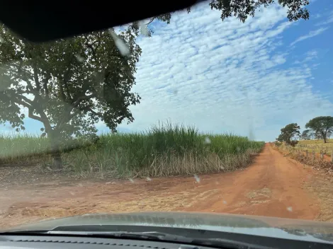 imagem 4 - Oportunidade Fazenda com Plantio de Cana - MG imagem 4 - Oportunidade Fazenda com Plantio de Cana - MG