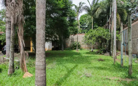 imagem 2 - Casa com 4 quartos, 1.205 m² - Jardim São Paulo, Rio Claro/SP imagem 2 - Casa com 4 quartos, 1.205 m² - Jardim São Paulo, Rio Claro/SP