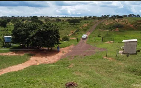 imagem 3 - Fazenda com 385 Hectares - Bonfinópolis de Minas/MG imagem 3 - Fazenda com 385 Hectares - Bonfinópolis de Minas/MG