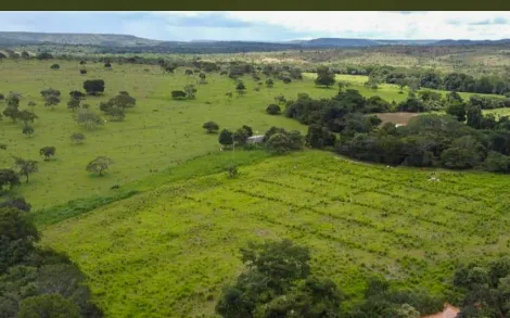 imagem 4 - Fazenda com 385 Hectares - Bonfinópolis de Minas/MG imagem 4 - Fazenda com 385 Hectares - Bonfinópolis de Minas/MG