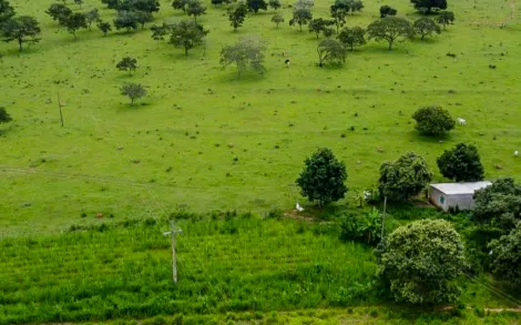 imagem 5 - Fazenda com 385 Hectares - Bonfinópolis de Minas/MG imagem 5 - Fazenda com 385 Hectares - Bonfinópolis de Minas/MG