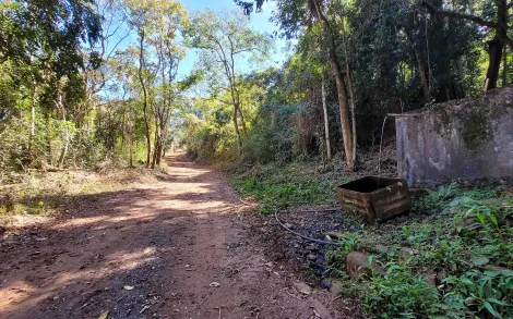 imagem 2 - Sítio com 57 alqueires paulista - Zona Rural, Corumbataí/SP imagem 2 - Sítio com 57 alqueires paulista - Zona Rural, Corumbataí/SP