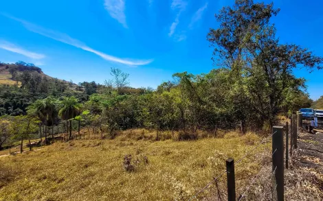 imagem 5 - Sítio com 12 alqueires paulista - Zona Rural, Corumbataí/SP imagem 5 - Sítio com 12 alqueires paulista - Zona Rural, Corumbataí/SP