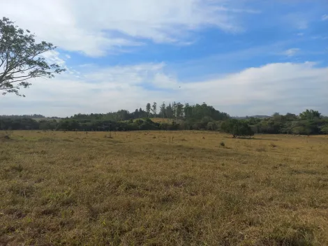 imagem 3 - Sítio à venda de 6,16 alqueires, 149.191 m² - Itapé - Rio Claro/SP imagem 3 - Sítio à venda de 6,16 alqueires, 149.191 m² - Itapé - Rio Claro/SP