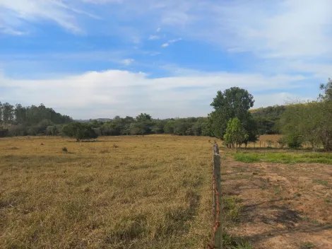 imagem 4 - Sítio à venda de 6,16 alqueires, 149.191 m² - Itapé - Rio Claro/SP imagem 4 - Sítio à venda de 6,16 alqueires, 149.191 m² - Itapé - Rio Claro/SP