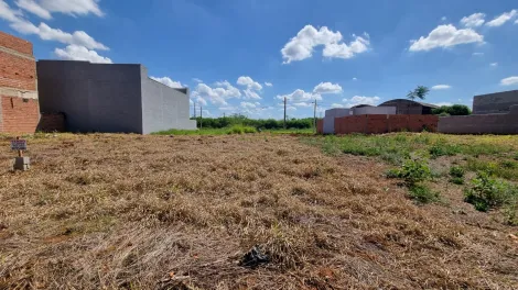 Santa Gertrudes Jardim Veneza Terreno Venda R$170.000,00  Area do terreno 160.00m2 