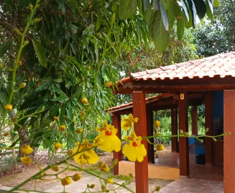 imagem 4 - Casa - Chácara imagem 4 - Casa - Chácara