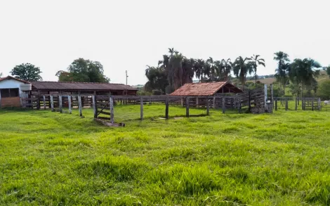 imagem 2 - Fazenda Campina Verde MG imagem 2 - Fazenda Campina Verde MG