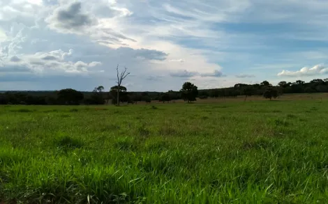 imagem 3 - Fazenda Campina Verde MG imagem 3 - Fazenda Campina Verde MG