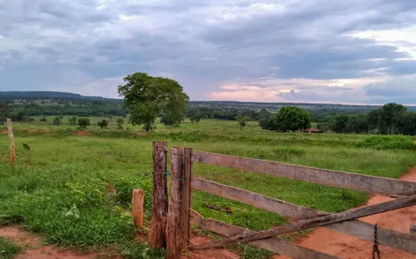 imagem 5 - Fazenda Campina Verde MG imagem 5 - Fazenda Campina Verde MG