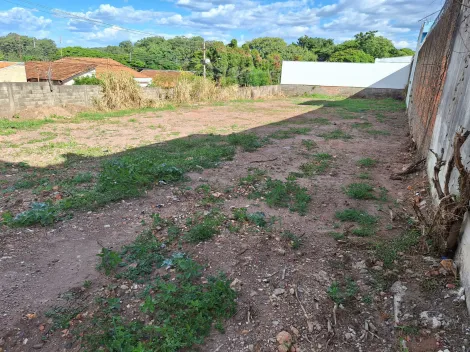 imagem 1 - Terreno com 129 m² - Cidade Nova, Rio Claro/SP imagem 1 - Terreno com 129 m² - Cidade Nova, Rio Claro/SP