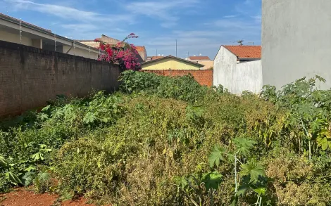 imagem 1 - Terreno Murado para Coércio ou Residencial com 298,90 metros ² imagem 1 - Terreno Murado para Coércio ou Residencial com 298,90 metros ²