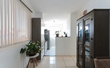 imagem 1 - Apartamento com 2 quartos no Rainha Silvia, 49m² - Jardim Paulista, Rio Claro/SP imagem 1 - Apartamento com 2 quartos no Rainha Silvia, 49m² - Jardim Paulista, Rio Claro/SP