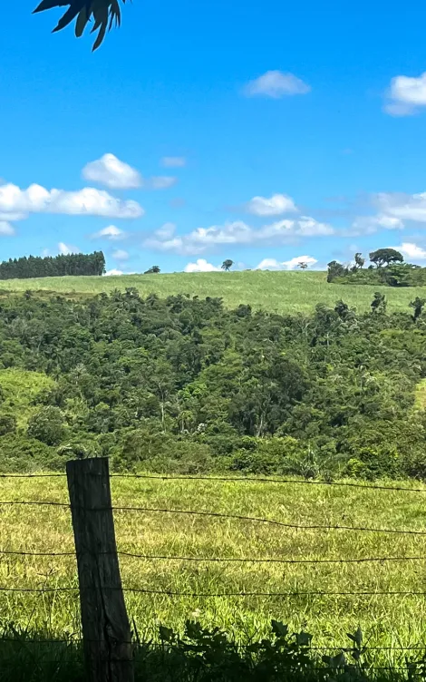 imagem 2 - Sítio rural à venda2,35 ALQUEIRES PAULISTA - Santana Urucaia - CORUMBATAÍ/SP imagem 2 - Sítio rural à venda2,35 ALQUEIRES PAULISTA - Santana Urucaia - CORUMBATAÍ/SP