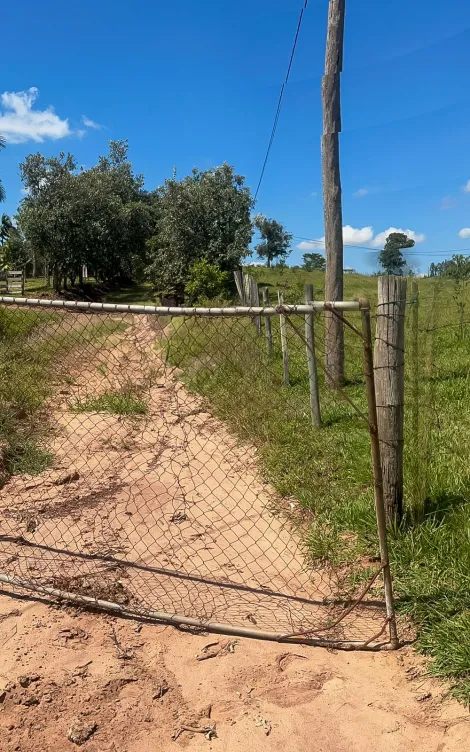 imagem 3 - Sítio rural à venda2,35 ALQUEIRES PAULISTA - Santana Urucaia - CORUMBATAÍ/SP imagem 3 - Sítio rural à venda2,35 ALQUEIRES PAULISTA - Santana Urucaia - CORUMBATAÍ/SP