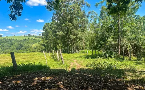 imagem 5 - Sítio rural à venda2,35 ALQUEIRES PAULISTA - Santana Urucaia - CORUMBATAÍ/SP imagem 5 - Sítio rural à venda2,35 ALQUEIRES PAULISTA - Santana Urucaia - CORUMBATAÍ/SP