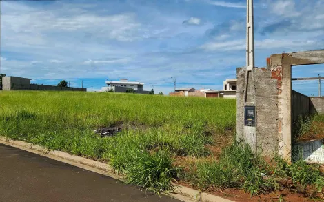 imagem 2 - Terreno, 250m² - Jardim das Palmeiras, Ipeúna/SP imagem 2 - Terreno, 250m² - Jardim das Palmeiras, Ipeúna/SP