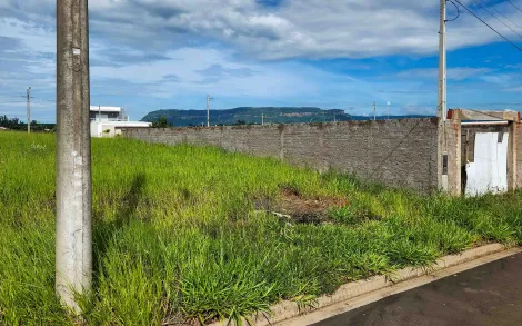 imagem 3 - Terreno, 250m² - Jardim das Palmeiras, Ipeúna/SP imagem 3 - Terreno, 250m² - Jardim das Palmeiras, Ipeúna/SP