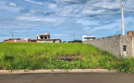 imagem 4 - Terreno, 250m² - Jardim das Palmeiras, Ipeúna/SP imagem 4 - Terreno, 250m² - Jardim das Palmeiras, Ipeúna/SP