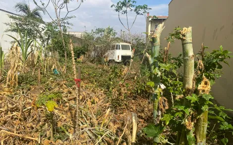 imagem 2 - Comercial - Terreno imagem 2 - Comercial - Terreno