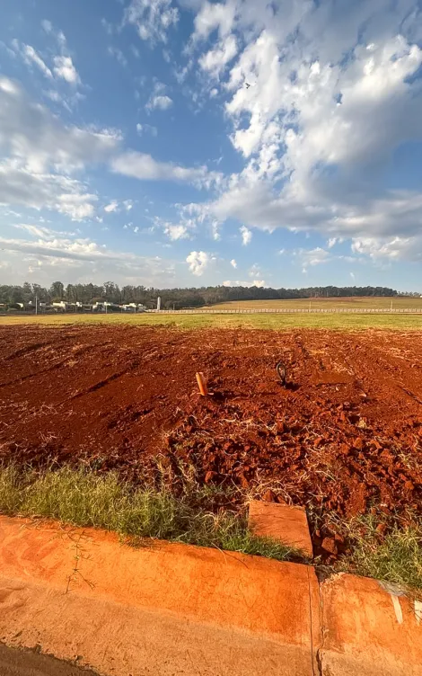 imagem 4 - Terreno no Condomínio Loteamento Residencial Parque dos Jacarandás, 275 m² - Rio Claro/SP imagem 4 - Terreno no Condomínio Loteamento Residencial Parque dos Jacarandás, 275 m² - Rio Claro/SP
