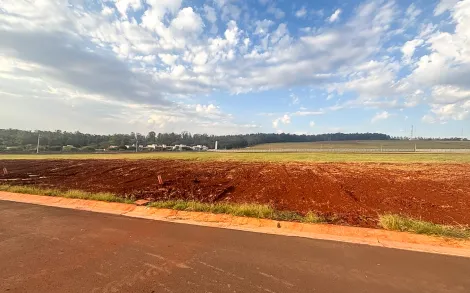 imagem 2 - Terreno no Condomínio Loteamento Residencial Parque dos Jacarandás, 550 m² - Rio Claro/SP imagem 2 - Terreno no Condomínio Loteamento Residencial Parque dos Jacarandás, 550 m² - Rio Claro/SP