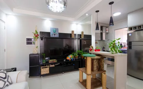 imagem 3 - Apartamento - Padrão imagem 3 - Apartamento - Padrão