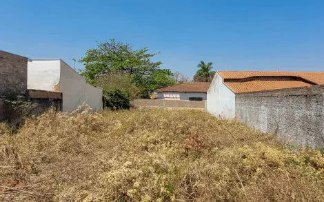imagem 3 - Terreno Murado, 362 m² - Centro, Ipeúna/SP imagem 3 - Terreno Murado, 362 m² - Centro, Ipeúna/SP