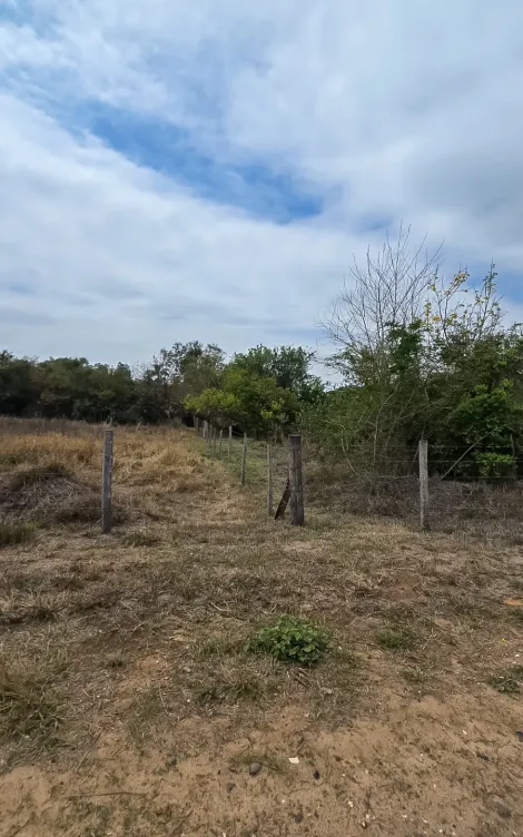 imagem 5 - Terreno - Área imagem 5 - Terreno - Área