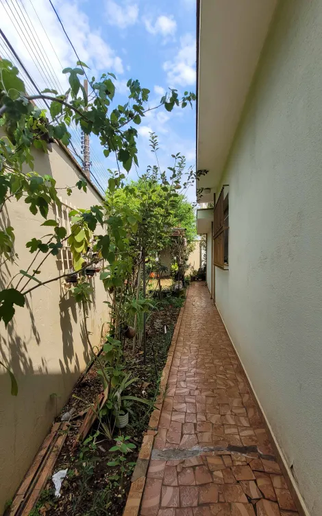 imagem 2 - Casa com 2 dormitórios, 275 m² - Saúde, Rio Claro/SP imagem 2 - Casa com 2 dormitórios, 275 m² - Saúde, Rio Claro/SP