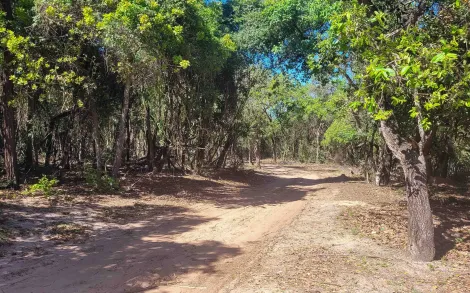 imagem 1 - Rural - Fazenda imagem 1 - Rural - Fazenda