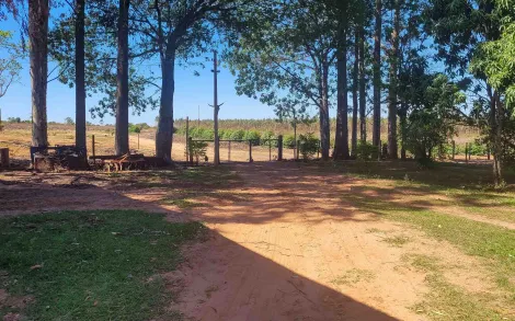 imagem 3 - Rural - Fazenda imagem 3 - Rural - Fazenda