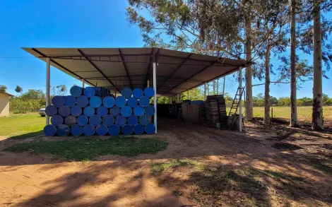 imagem 4 - Rural - Fazenda imagem 4 - Rural - Fazenda