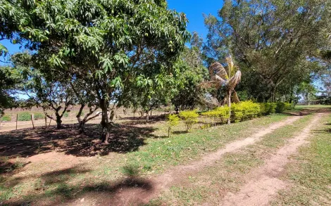 imagem 5 - Rural - Fazenda imagem 5 - Rural - Fazenda