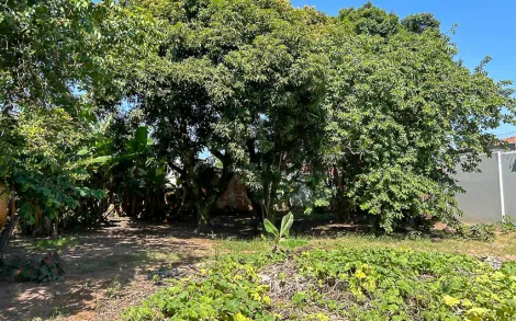 imagem 2 - Terreno com 563 m² - Alto do Santana, Rio Claro/SP imagem 2 - Terreno com 563 m² - Alto do Santana, Rio Claro/SP