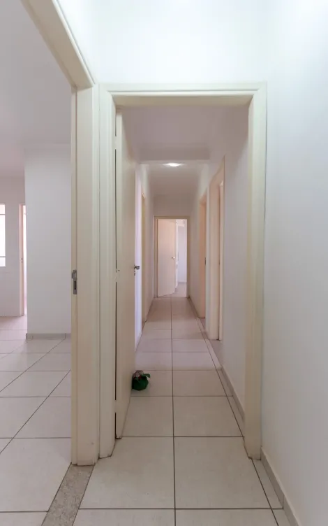 imagem 3 - Apartamento - Padrão imagem 3 - Apartamento - Padrão